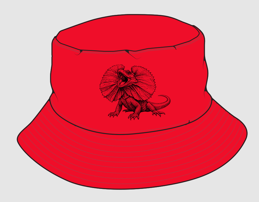 Elim Wide-brim Hat Design B